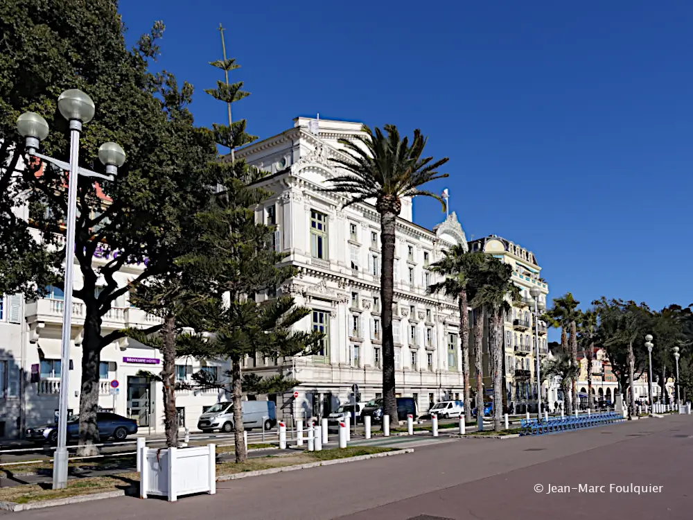 Palmiers de la Promenade des Anglais à Nice
