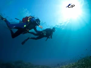 Scuba diving in Nice