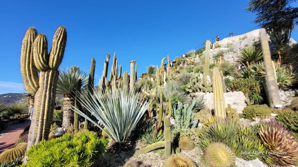 jardin exotique d'Eze