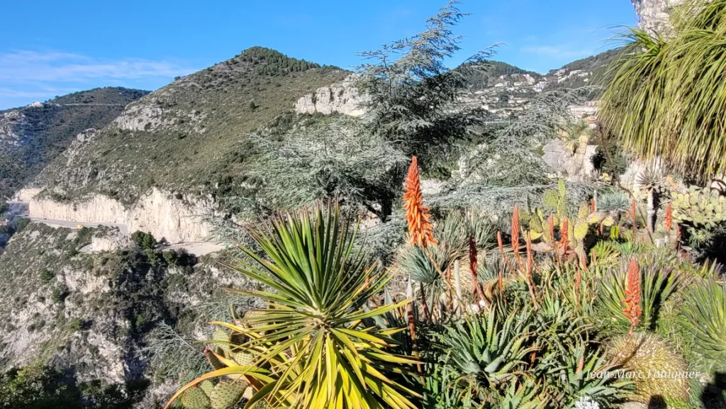 jardin zen du jardin exotique d'Eze