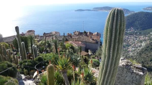 exotic garden in Eze village