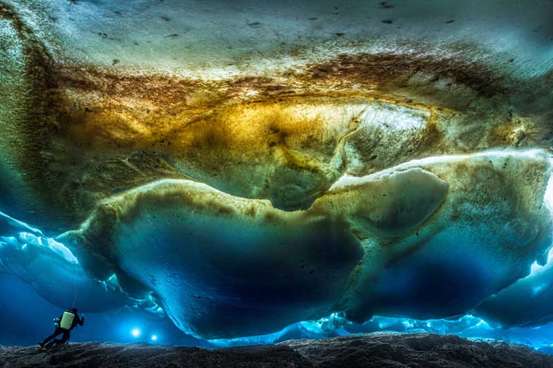Expositions de l'Année de la mer 2025 dans les musées de la ville de Nice, musée de la photographie