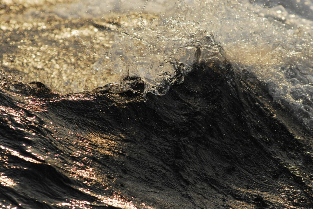 2025 Year of the Sea conferences in Nice