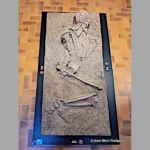 exposition Des Préhistoriques à la plage au musée de préhistoire Terra Amata à Nice