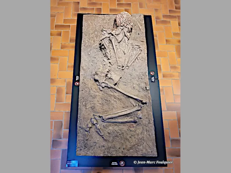 exposition Des Préhistoriques à la plage au musée de préhistoire Terra Amata à Nice
